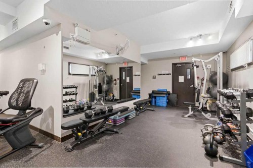 439-23 Millrise Drive Sw, Calgary, AB - Indoor Photo Showing Gym Room