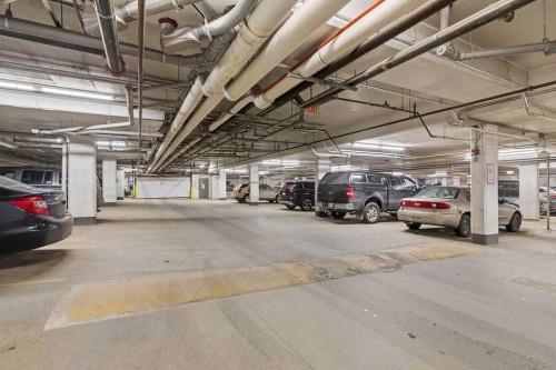 439-23 Millrise Drive Sw, Calgary, AB - Indoor Photo Showing Garage