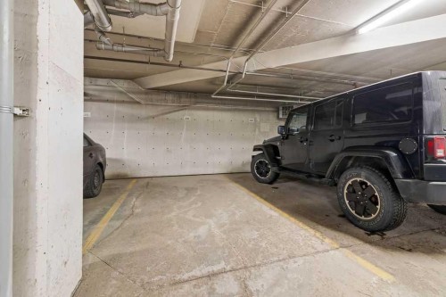 439-23 Millrise Drive Sw, Calgary, AB - Indoor Photo Showing Garage