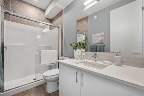 207 Huxland Path Ne, Calgary, AB - Indoor Photo Showing Bathroom