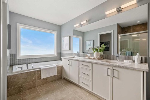 207 Huxland Path Ne, Calgary, AB - Indoor Photo Showing Bathroom