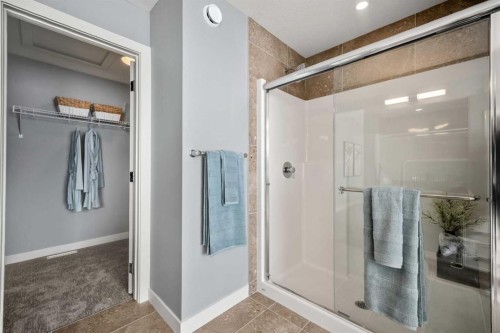 207 Huxland Path Ne, Calgary, AB - Indoor Photo Showing Bathroom