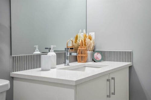 207 Huxland Path Ne, Calgary, AB - Indoor Photo Showing Bathroom