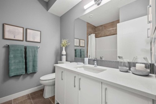 207 Huxland Path Ne, Calgary, AB - Indoor Photo Showing Bathroom