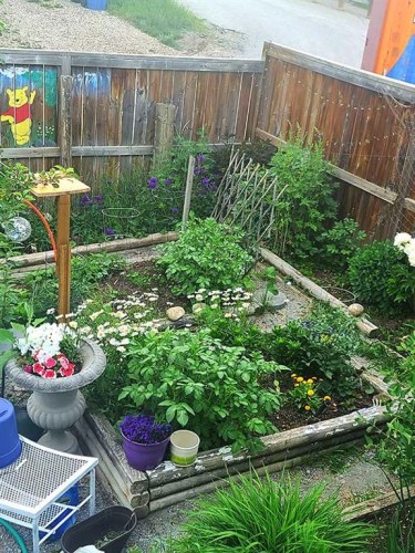 145 Covebrook Close Ne, Calgary, AB - Outdoor