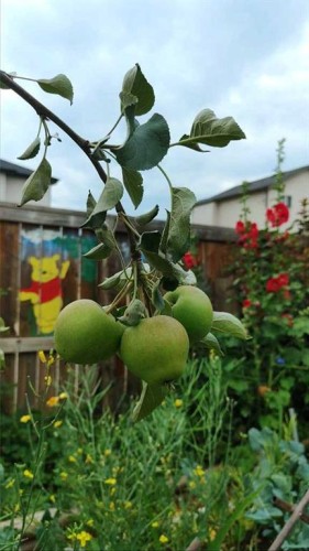 145 Covebrook Close Ne, Calgary, AB - Outdoor