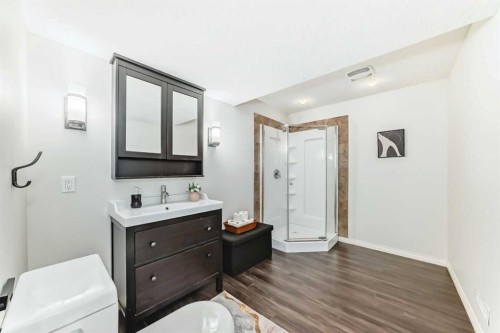 21 Panamount Row Nw, Calgary, AB - Indoor Photo Showing Bathroom