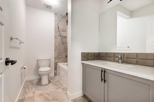 142 Cranbrook Park Se, Calgary, AB - Indoor Photo Showing Bathroom