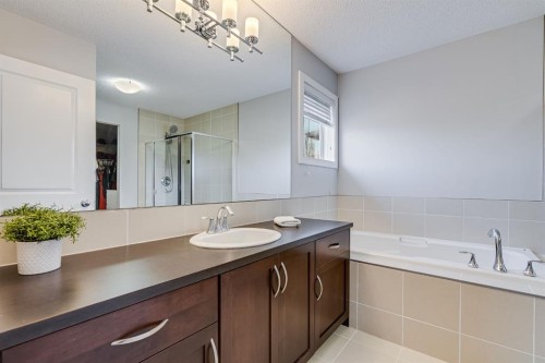 26 Auburn Glen Circle Se, Calgary, AB - Indoor Photo Showing Bathroom