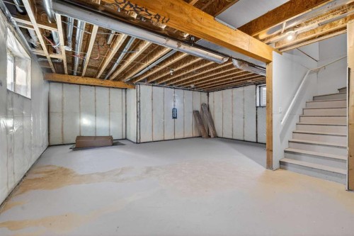 113 Sandpiper Bay, Chestermere, AB - Indoor Photo Showing Basement