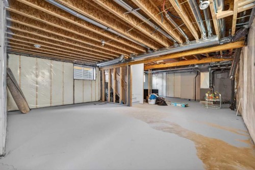 113 Sandpiper Bay, Chestermere, AB - Indoor Photo Showing Basement