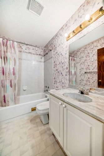28 Harvest Oak Drive Ne, Calgary, AB - Indoor Photo Showing Bathroom