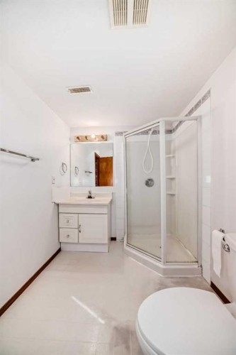 28 Harvest Oak Drive Ne, Calgary, AB - Indoor Photo Showing Bathroom
