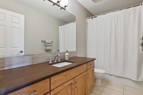 107 Sheep River Bay, Okotoks, AB - Indoor Photo Showing Bathroom
