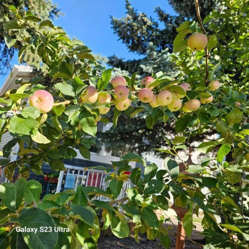 131 Woodglen Way Sw, Calgary, AB - Outdoor With View
