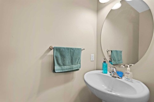 24 Cityscape Row Ne, Calgary, AB - Indoor Photo Showing Bathroom