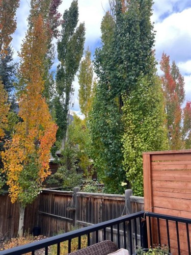 52 Wentworth Crescent Sw, Calgary, AB - Outdoor