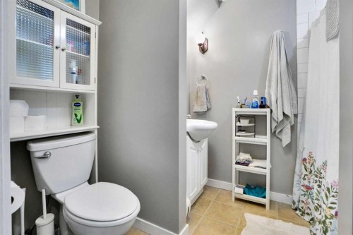 184 Cramond Green Se, Calgary, AB - Indoor Photo Showing Bathroom