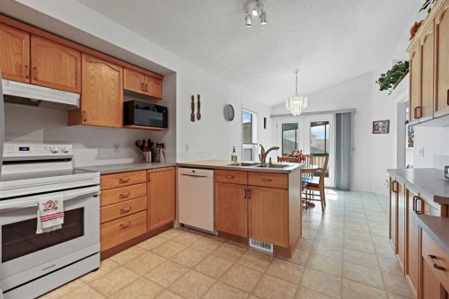 272 Saddlemead Road Ne, Calgary, AB - Indoor Photo Showing Kitchen With Double Sink
