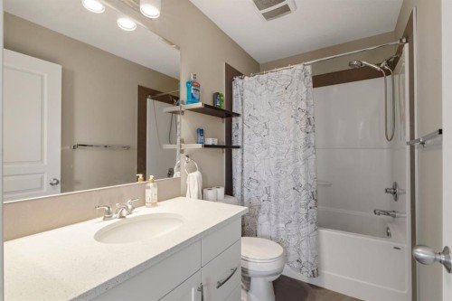 237 Mckenzie Towne Link Se, Calgary, AB - Indoor Photo Showing Bathroom