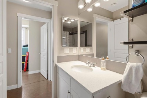 237 Mckenzie Towne Link Se, Calgary, AB - Indoor Photo Showing Bathroom