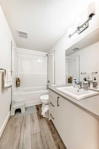 123 Spring Creek Common Sw, Calgary, AB - Indoor Photo Showing Bathroom
