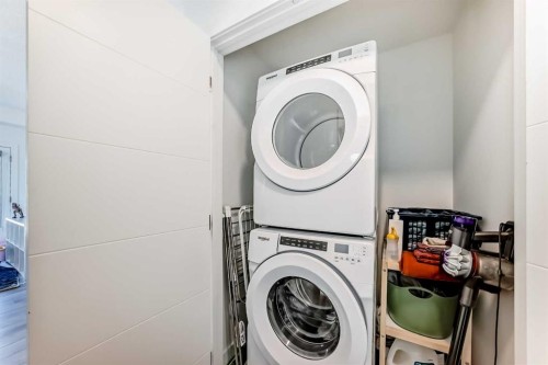 123 Spring Creek Common Sw, Calgary, AB - Indoor Photo Showing Laundry Room