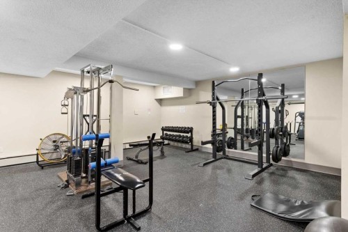 302-320 Meredith Road Ne, Calgary, AB - Indoor Photo Showing Gym Room
