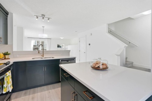 812 Cranbrook Walk Se, Calgary, AB - Indoor Photo Showing Kitchen With Double Sink With Upgraded Kitchen