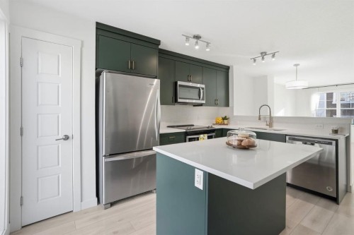 812 Cranbrook Walk Se, Calgary, AB - Indoor Photo Showing Kitchen With Stainless Steel Kitchen With Upgraded Kitchen