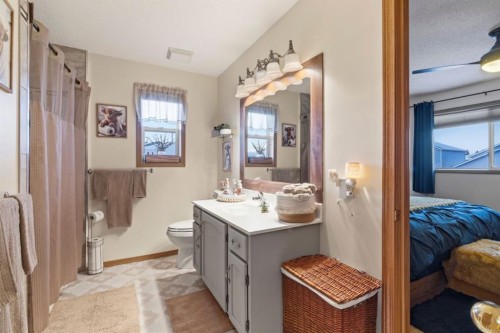 158 Saratoga Close Ne, Calgary, AB - Indoor Photo Showing Bathroom