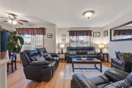 158 Saratoga Close Ne, Calgary, AB - Indoor Photo Showing Living Room