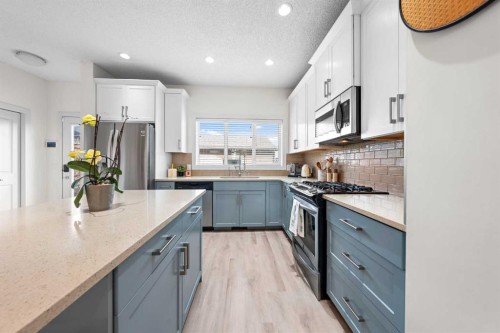 237 Walden Parade Se, Calgary, AB - Indoor Photo Showing Kitchen With Stainless Steel Kitchen With Upgraded Kitchen