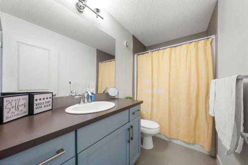 237 Walden Parade Se, Calgary, AB - Indoor Photo Showing Bathroom