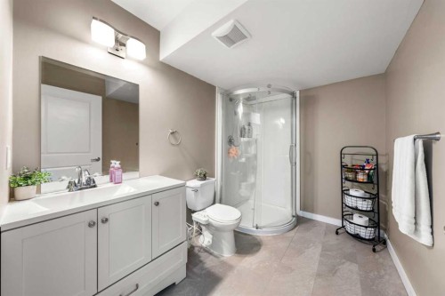 237 Walden Parade Se, Calgary, AB - Indoor Photo Showing Bathroom
