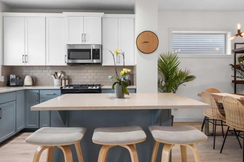 237 Walden Parade Se, Calgary, AB - Indoor Photo Showing Kitchen With Upgraded Kitchen