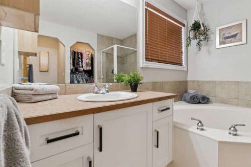 142 Cranfield Crescent Se, Calgary, AB - Indoor Photo Showing Bathroom