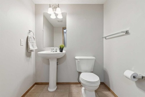142 Cranfield Crescent Se, Calgary, AB - Indoor Photo Showing Bathroom