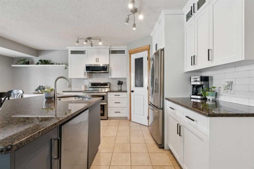 142 Cranfield Crescent Se, Calgary, AB - Indoor Photo Showing Kitchen With Upgraded Kitchen