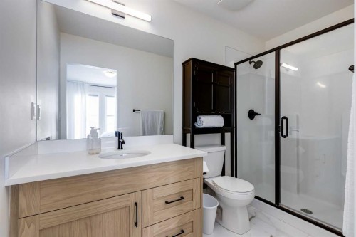 237 South Point Park Sw, Airdrie, AB - Indoor Photo Showing Bathroom