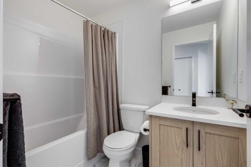 237 South Point Park Sw, Airdrie, AB - Indoor Photo Showing Bathroom