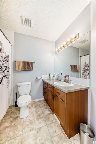 835 Westmount Drive, Strathmore, AB - Indoor Photo Showing Bathroom