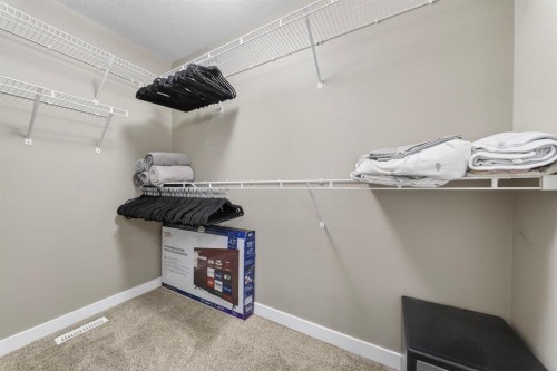 229 Rainbow Falls Glen, Chestermere, AB - Indoor With Storage