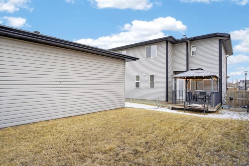 229 Rainbow Falls Glen, Chestermere, AB - Outdoor
