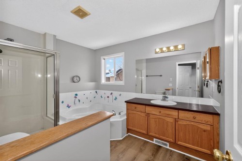 42 Royal Elm Drive Nw, Calgary, AB - Indoor Photo Showing Bathroom