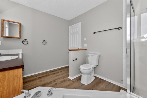 42 Royal Elm Drive Nw, Calgary, AB - Indoor Photo Showing Bathroom