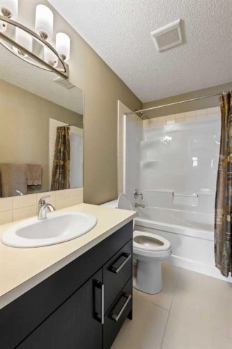 115 Baysprings Terrace Sw, Airdrie, AB - Indoor Photo Showing Bathroom