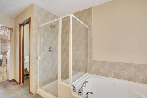 160 Tremblant Way Sw, Calgary, AB - Indoor Photo Showing Bathroom