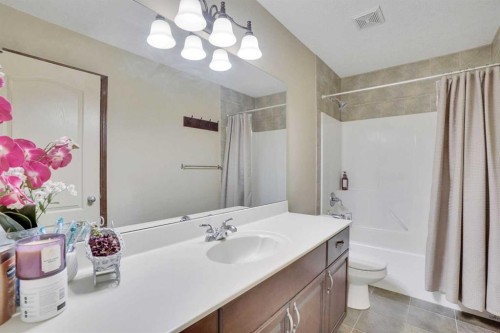 160 Tremblant Way Sw, Calgary, AB - Indoor Photo Showing Bathroom
