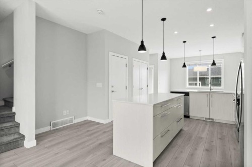 124 Red Embers Place Ne, Calgary, AB - Indoor Photo Showing Kitchen With Upgraded Kitchen